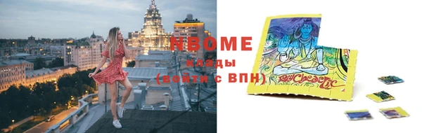 гашик Богданович