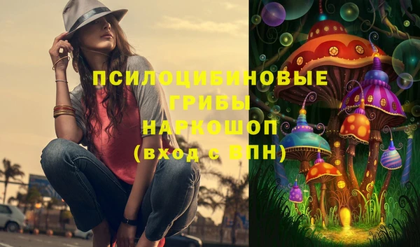прущий лед Богородск
