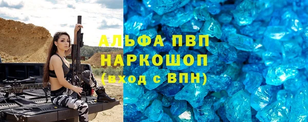 гашик Богданович