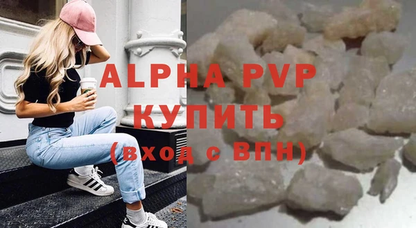 гашик Богданович